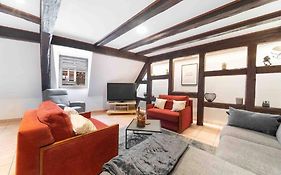 Les Lionceaux, 120M2 A Colmar, Place De Parking Gratuite